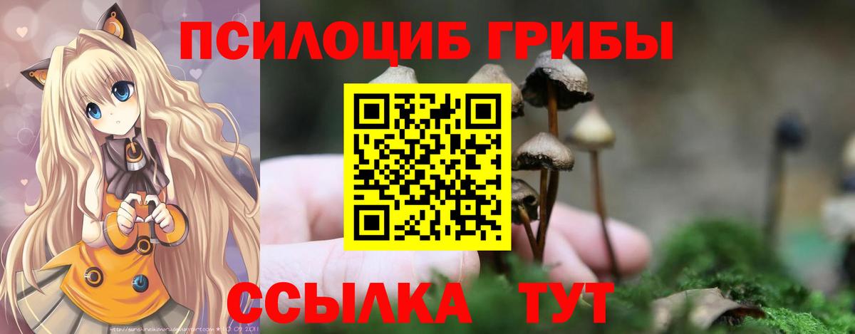 Галлюциногенные грибы прущие грибы  как найти закладки  Каспийск  Вход с VPN 
